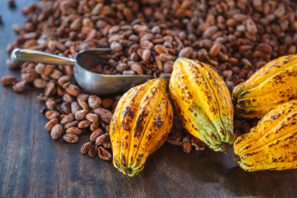 Cacao vs Cocoa: Which is Better