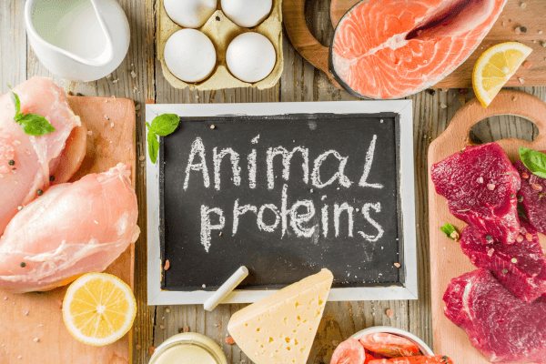 Can Animal Protein Cause Resistance to Insulin