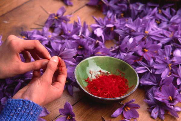 The Many Health Benefits of Saffron